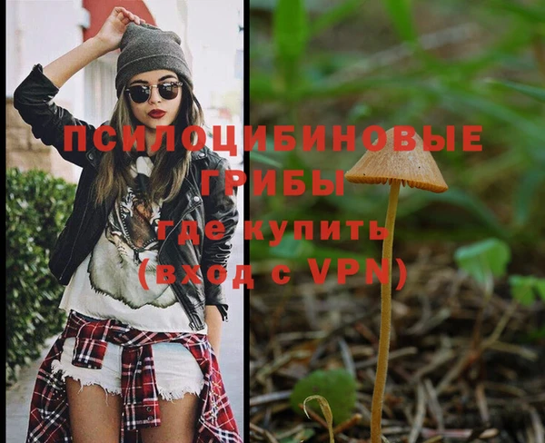 MDMA Ельня