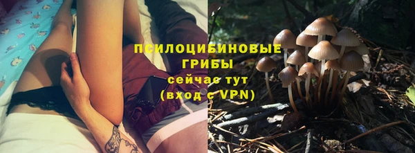 ГАЛЛЮЦИНОГЕННЫЕ ГРИБЫ Заволжск